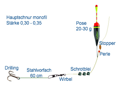 hechtmontage_grund.jpg