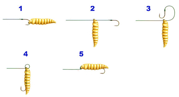 forellenangeln, bienenmaden sichern an der Schlaufe